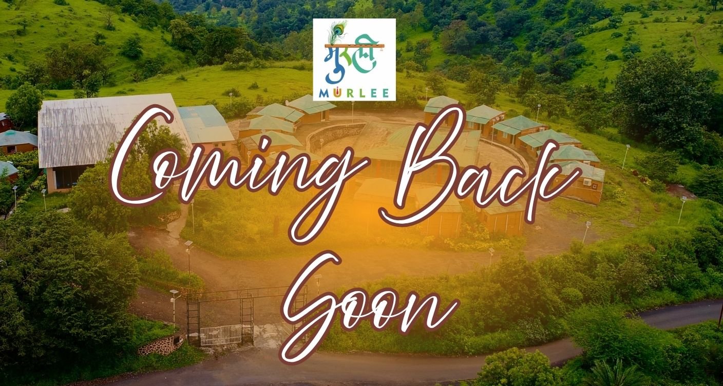 Resort Offer